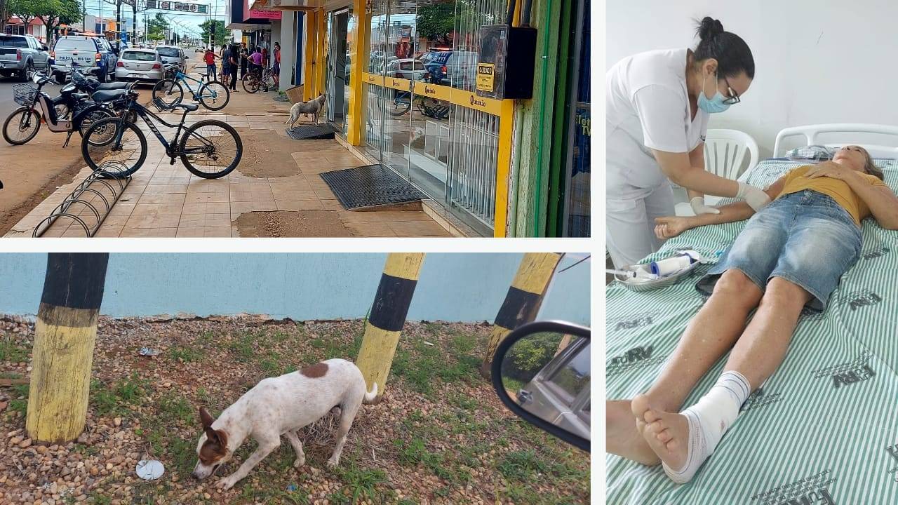 Idosa é atacada por cachorro solto em uma das avenidas mais movimentadas de Vilhena e filho comerciante se revolta