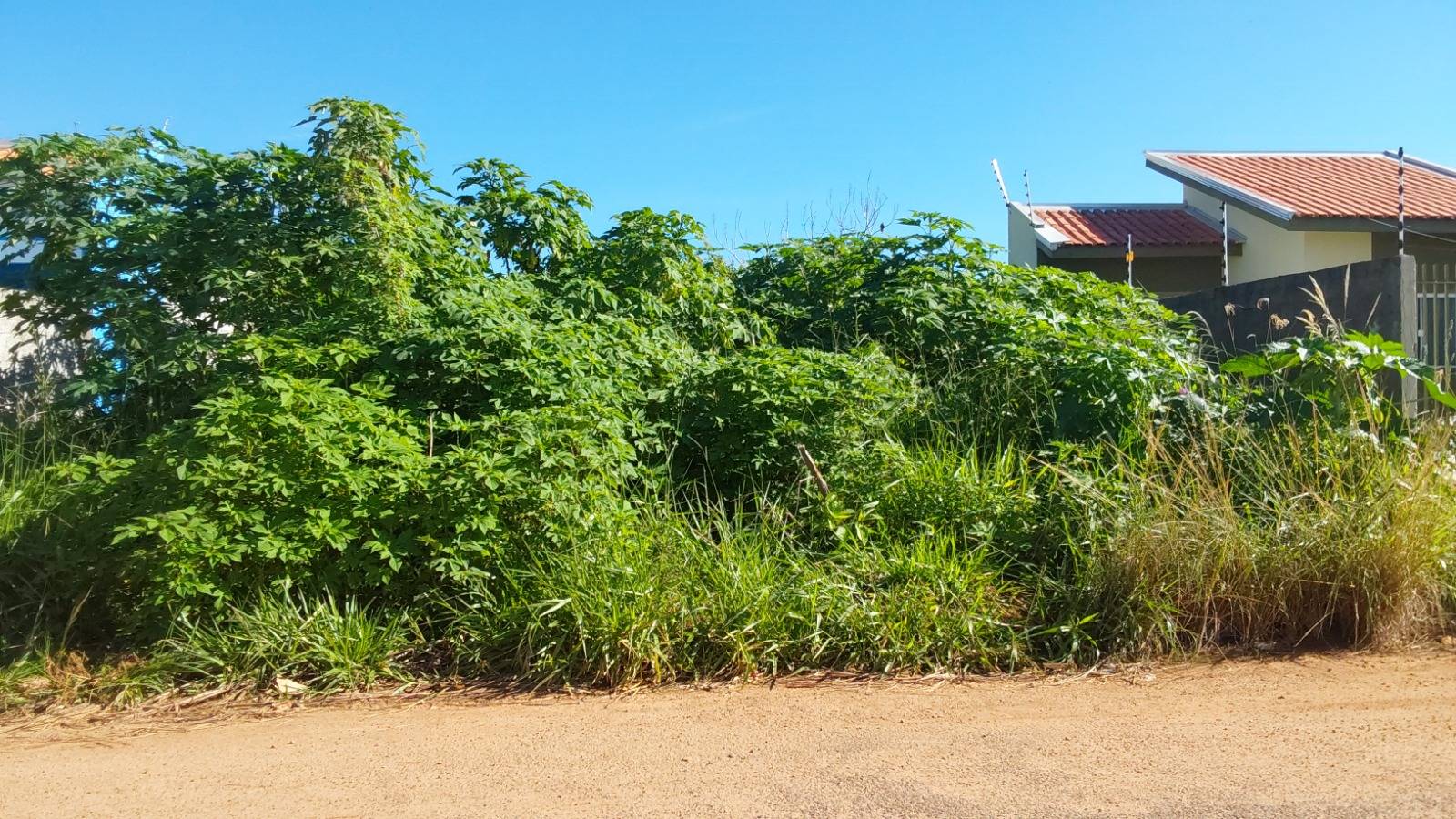 Prefeitura alerta sobre importância de limpeza de terrenos em Vilhena; falta de limpeza pode gerar multas e taxas