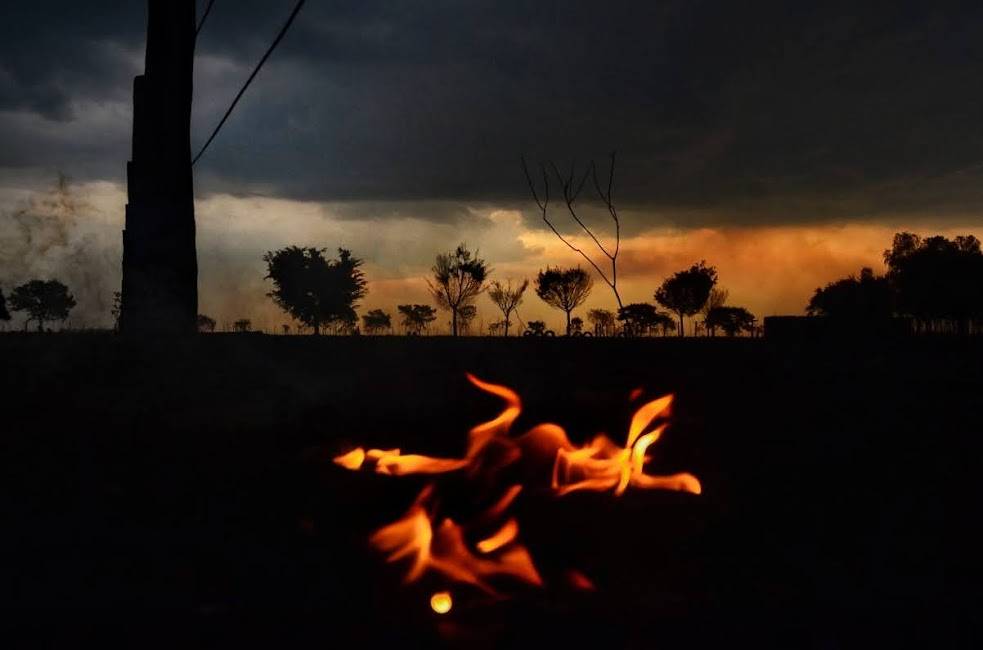 Vilhena perde 3,5 mil hectares de floresta nativa por ano: 16% da vegetação primária já foi desmatada desde 1986