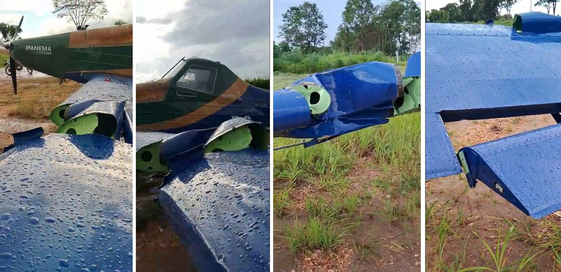 VÍDEO: avião bate em árvore após piloto desviar de cães na pista do aeroporto de Colorado do Oeste