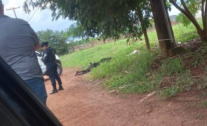 URGENTE: corpo masculino carbonizado e com as mãos amarradas é encontrado em Vilhena; polícia no local