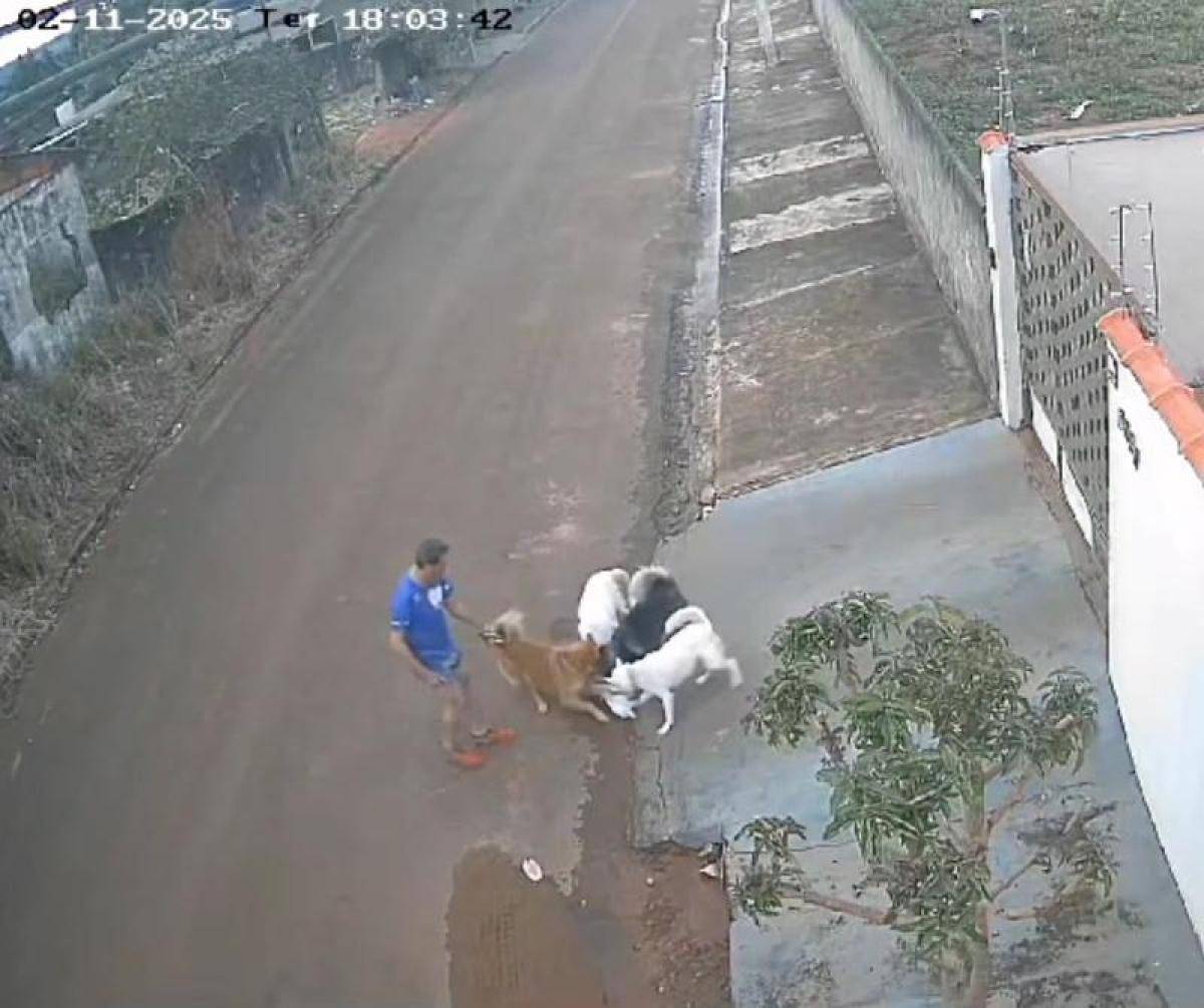Preso em cidade vizinha após deixar seus cachorros matarem gato e vídeo viralizar no Brasil, professor alega “problemas neurológicos”