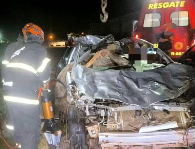 CENA PAVOROSA: homem morre após atropelar cavalos em rodovia de MT; um dos animais foi parar dentro do carro