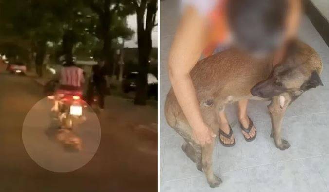 Em Rondônia, agentes da PRF resgatam cachorro que estava sendo arrastado no asfalto por motociclista