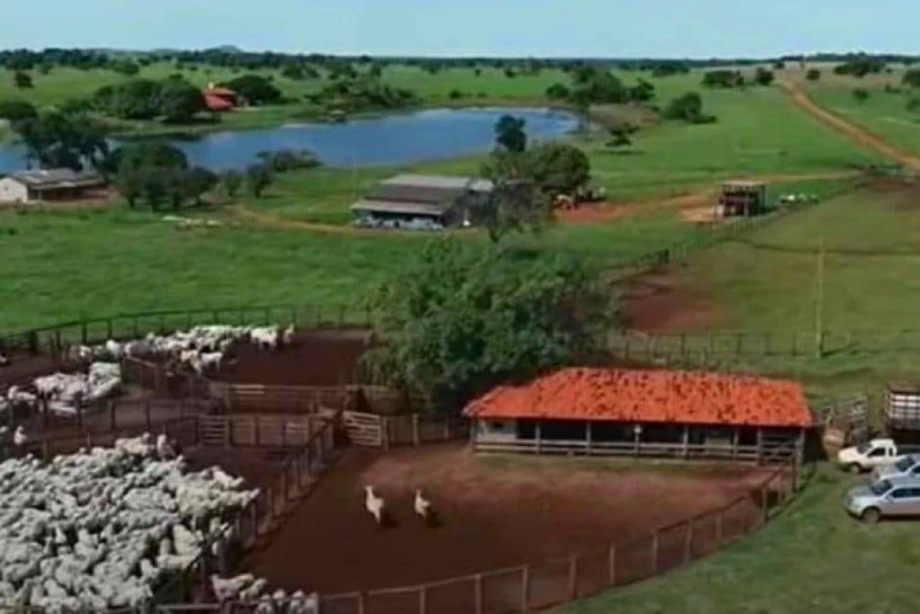Após ser multado pelo Ibama, sertanejo vende super fazenda em Estado vizinho por impressionantes R$ 350 milhões