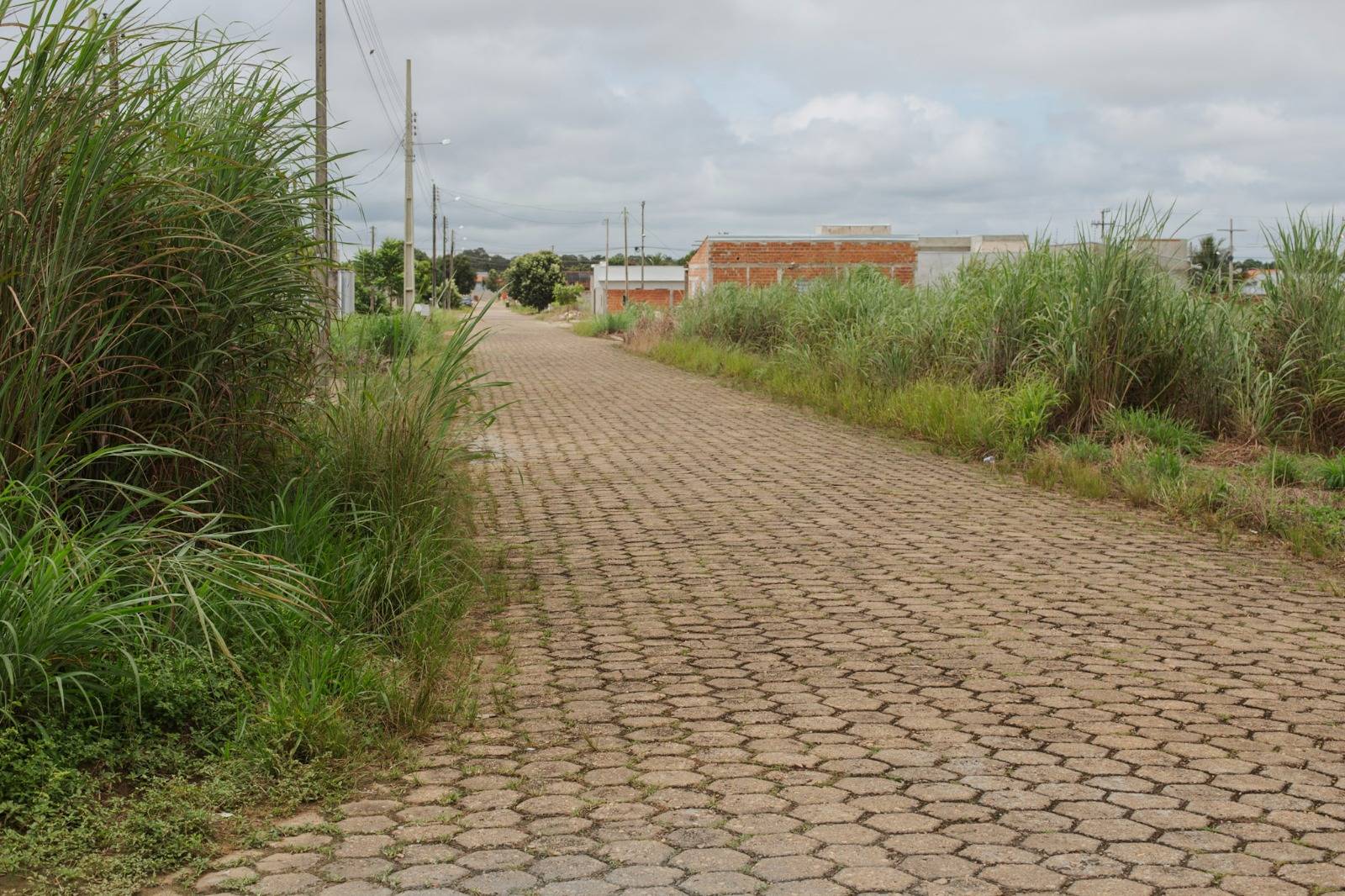 Prefeitura intensifica fiscalização e anuncia que vai multar donos de terrenos baldios que se recusarem a limpá-los, em Vilhena