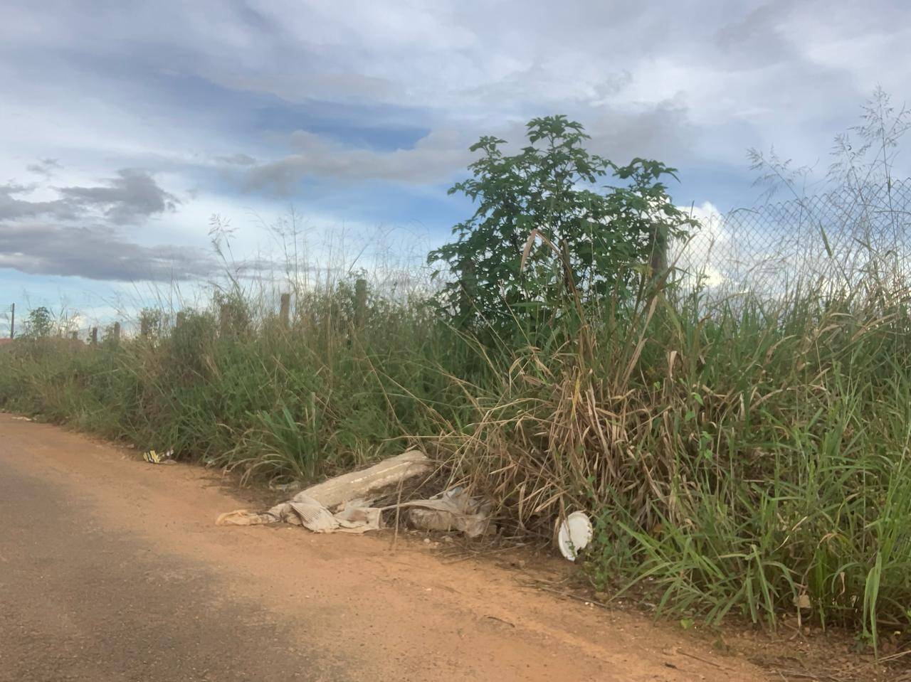 VEJA FOTOS: morador expõe “nojeira” tomando conta de bairro em Vilhena onde até carcaças de animais são descartadas em terrenos