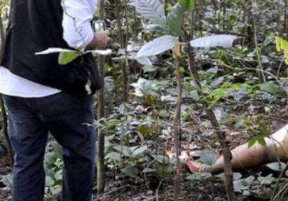 10 anos após matar padrasto com tiro de espingarda no Cone Sul de Rondônia, autor do crime é julgado e absolvido, em Vilhena