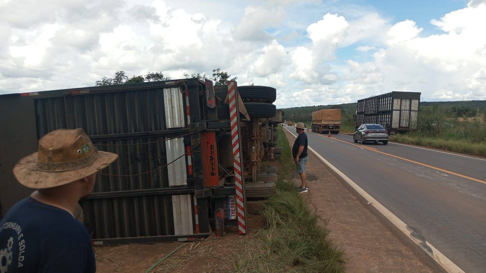 Alguns dos animais que eram transportados morrem após carreta boiadeira tombar em trecho da BR 364 a 30 km de Vilhena
