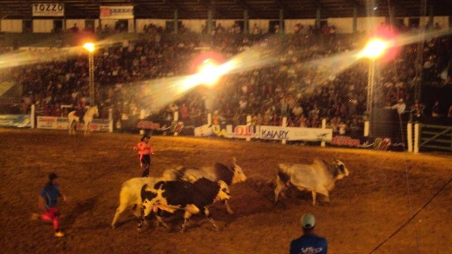 Após fuga de touro enfurecido da arena, visitantes da Expovil estão com medo