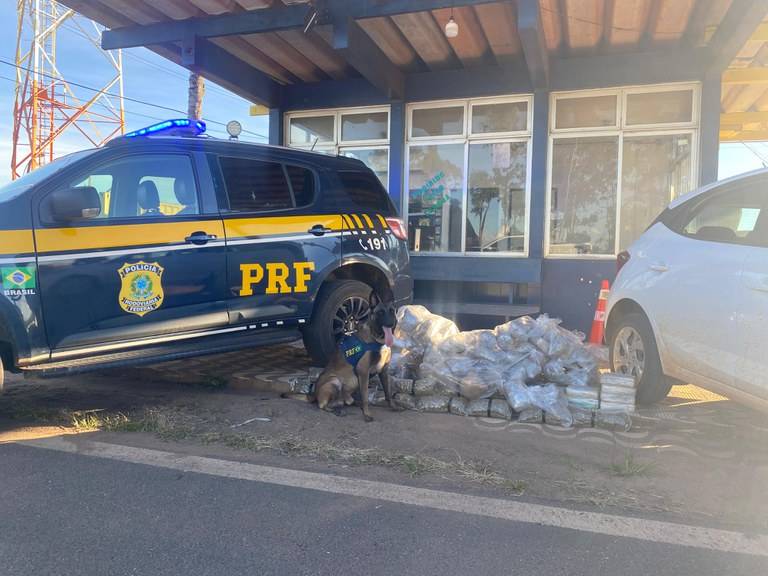 Homem é preso em rodovia de Mato Grosso com 84 kg de “supermaconha” que haviam sido embarcados em Vilhena