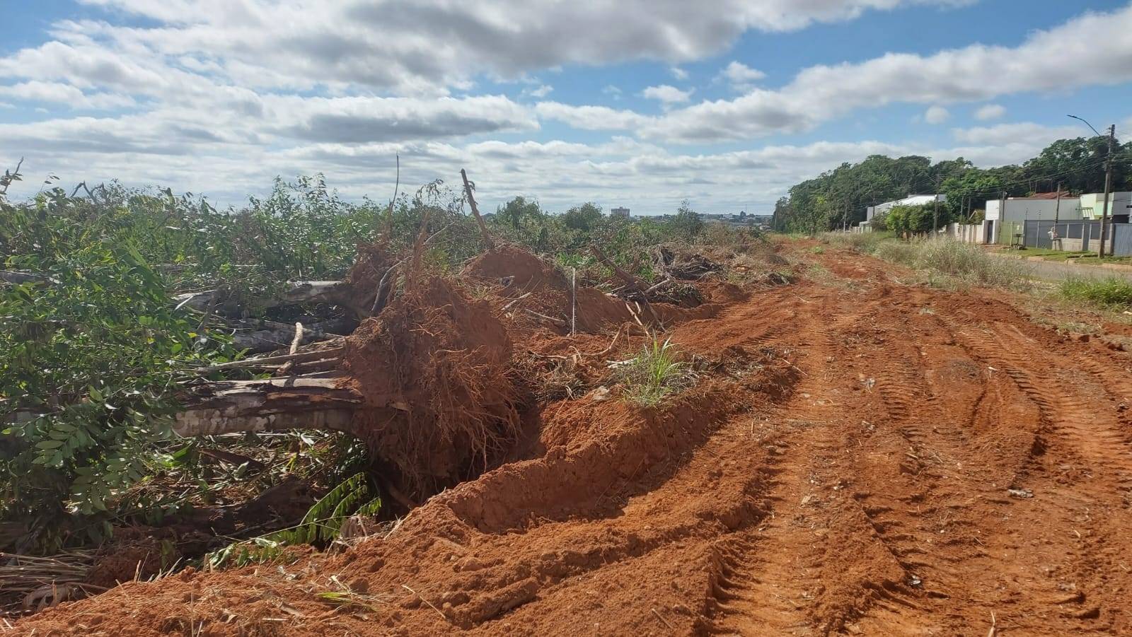 Saiba como donos de área onde será implantado loteamento em Vilhena obtiveram autorização para derrubar faixa de mata urbana