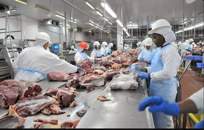 “Tarifaço” de Trump atinge economia do Cone Sul de Rondônia, onde estão dois frigoríficos e grande parte do rebanho bovino do Estado