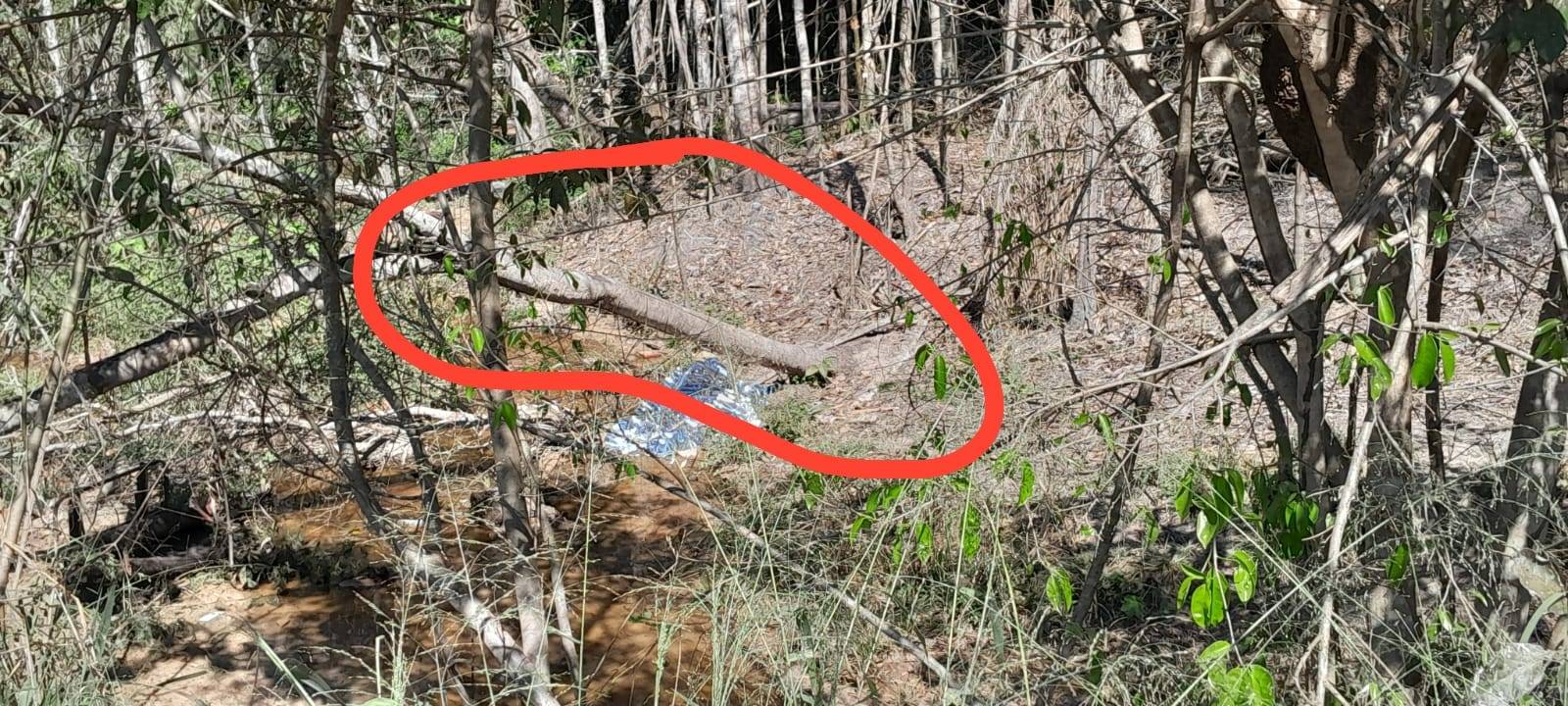 Homem que morreu na BR 435, entre Vilhena e Colorado do Oeste, não era o motorista do caminhão acidentado, diz suposto colega da vítima