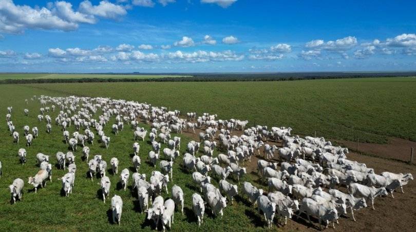 Enquanto MT tem as fazendas mais caras do Brasil, avaliadas em bilhões, em Rondônia, valorização das terras foi de quase 300%