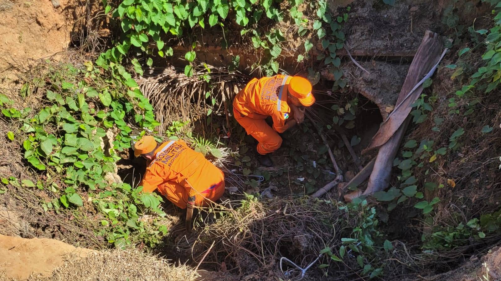 VÍDEOS: Bombeiros instalam armadilha e vão usar porco como “isca” para capturar onça pintada que aterroriza a segunda maior cidade de RO