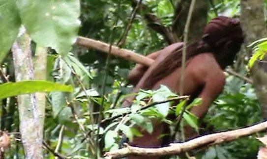 STF decide: terra onde viveu último indígena de sua etnia no Sul de RO vai virar parque nacional; área se espalha por quatro municípios