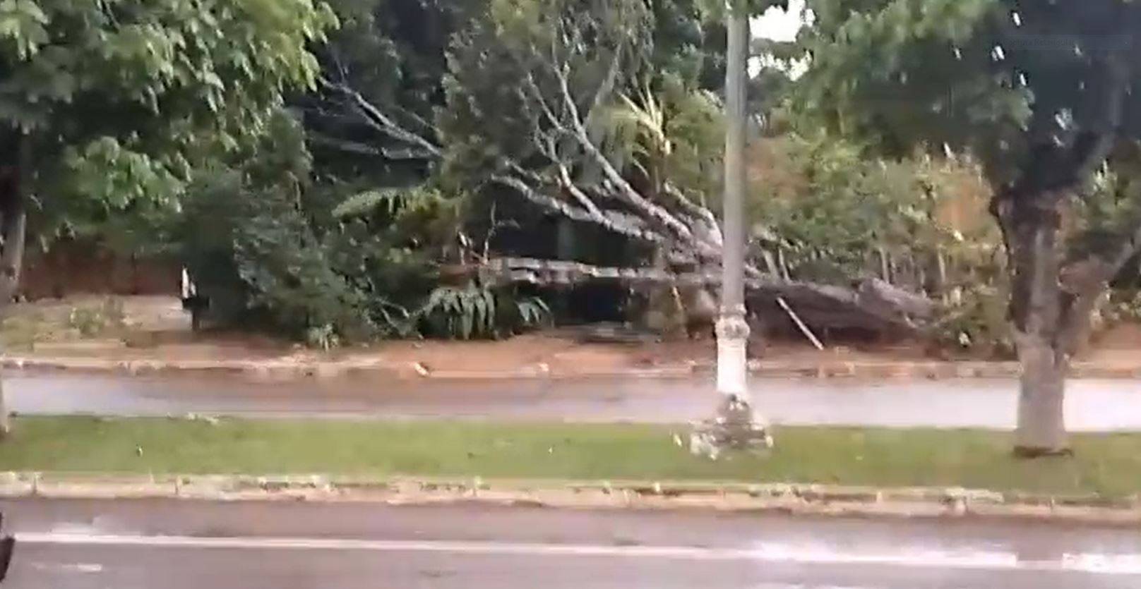 ASSISTA VÍDEO: vendaval derruba árvores em Vilhena, e Bombeiros resgatam cadeirante que vive em casa atingida