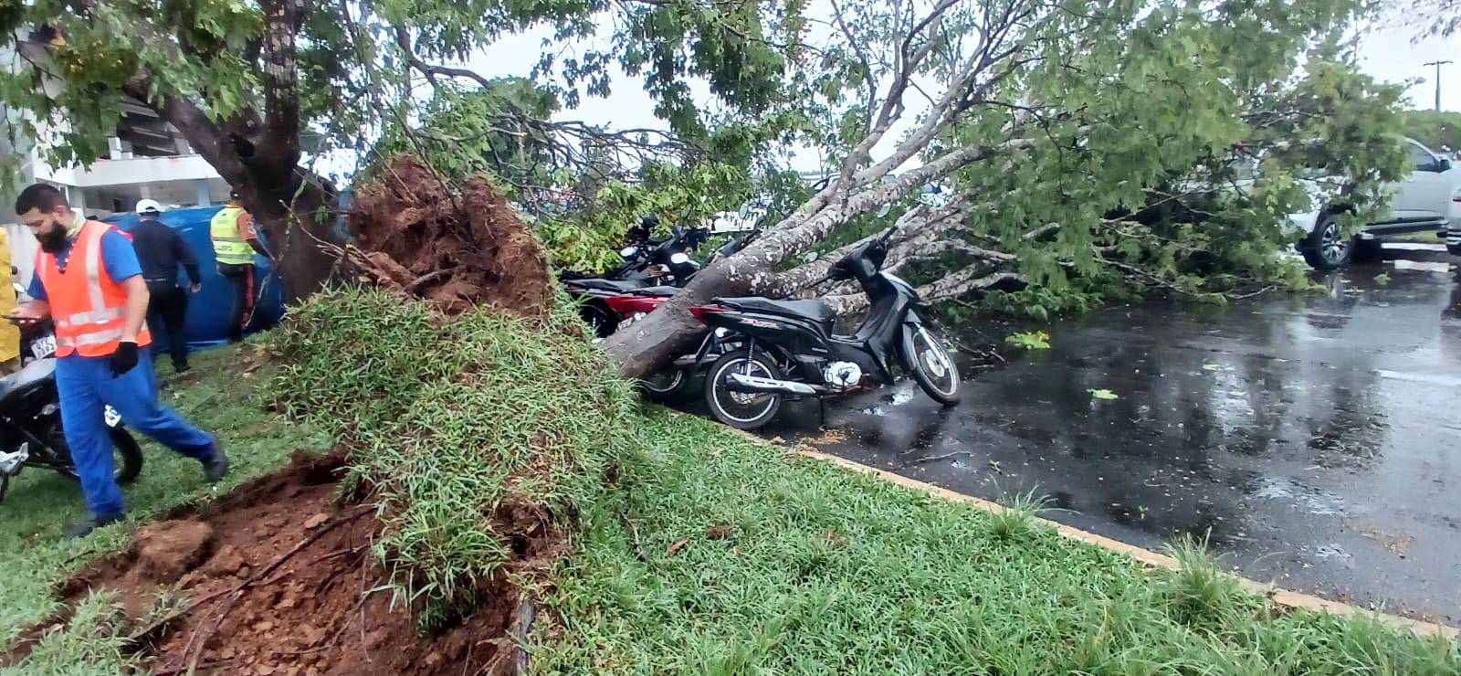 FOTOS E VÍDEOS: vendaval provoca destruição em Vilhena e voo da Azul é desviado para o aeroporto de Cacoal; empresário explica