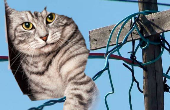 Flagrado pela segunda vez após fazer “gato” para furtar energia elétrica, homem de 56 anos acaba preso, em Vilhena