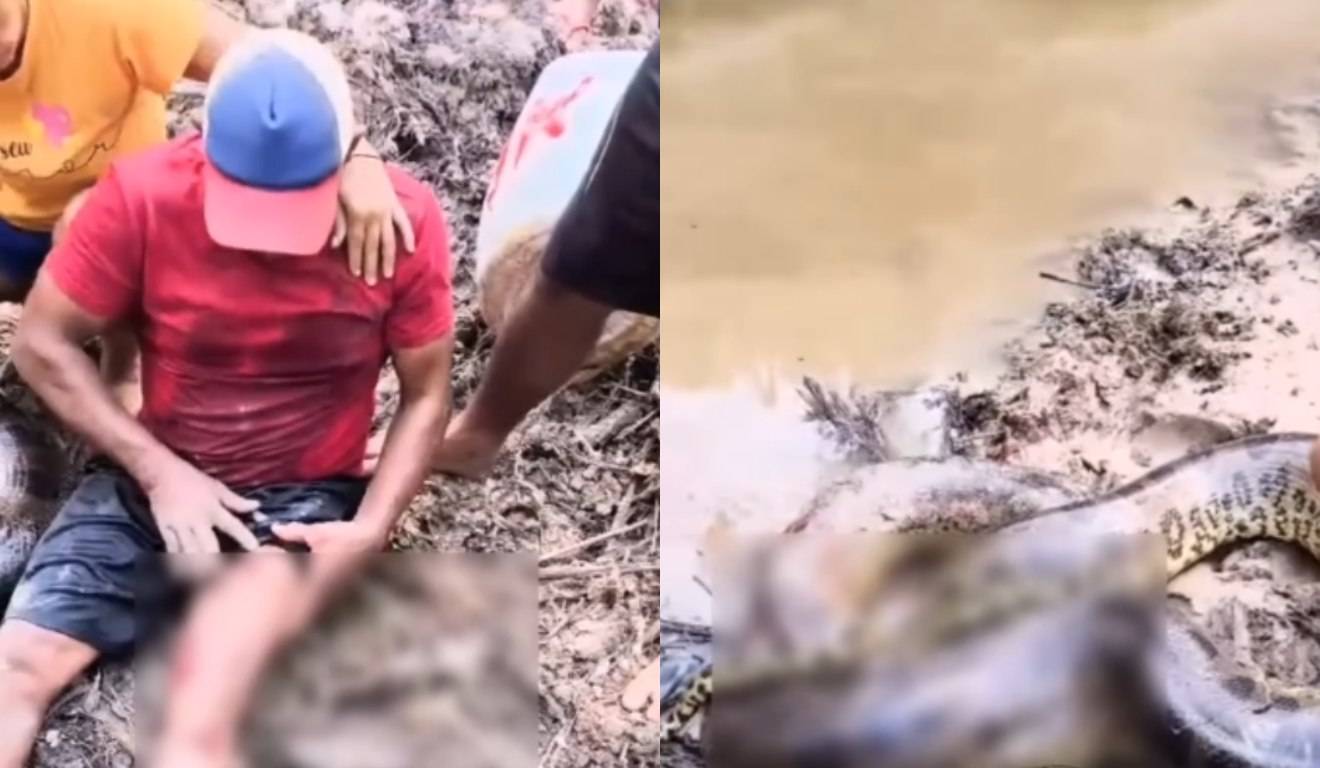 ASSISTA: vídeo mostrando ataque de sucuri viraliza e assusta moradores em várias cidades de Rondônia; saiba onde o fato realmente aconteceu
