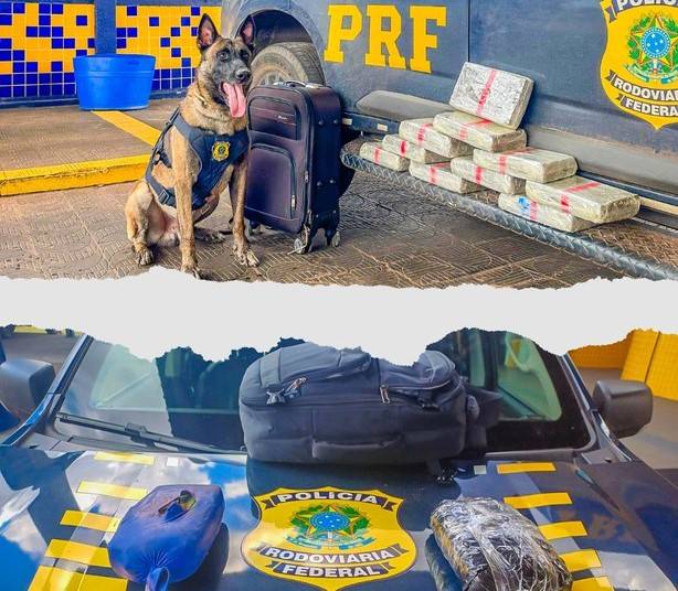 Mulher que embarcou em Vilhena é presa em rodovia de Mato Grosso com 10,5kg de supermaconha na bagagem