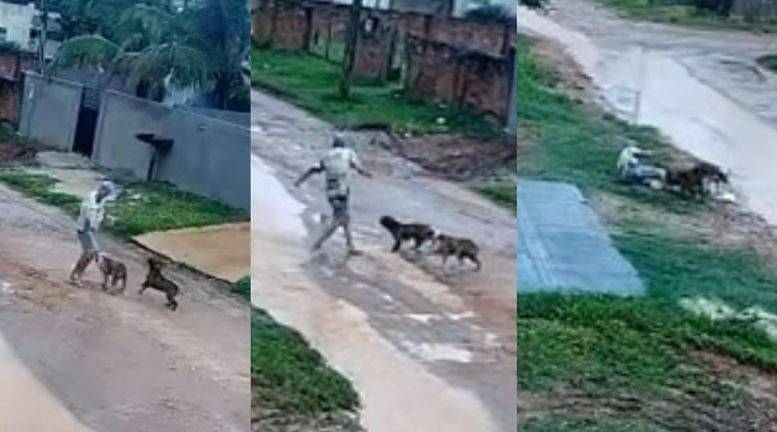 ASSISTA VÍDEO: em cidade de Mato Grosso na divisa com Rondônia, idoso é atacado por cachorros quando caminhava pela rua