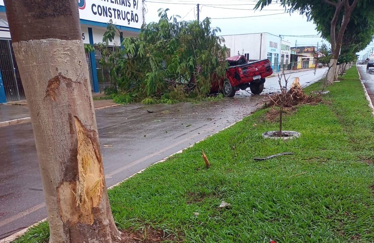ASSISTA VÍDEO: com casal a bordo, caminhonete atravessa canteiro central de avenida e atinge árvores, em Vilhena