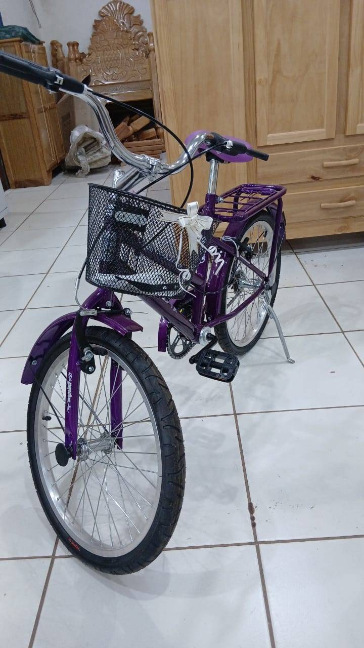 Jovem que derrubou portão para furtar bicicleta é preso pela PM após vítima localizar boca de fumo onde o veículo estava