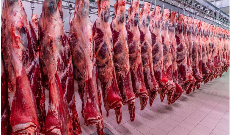Vietnã habilita mais quatro frigoríficos brasileiros para exportar carne bovina; dois deles ficam em Rondônia