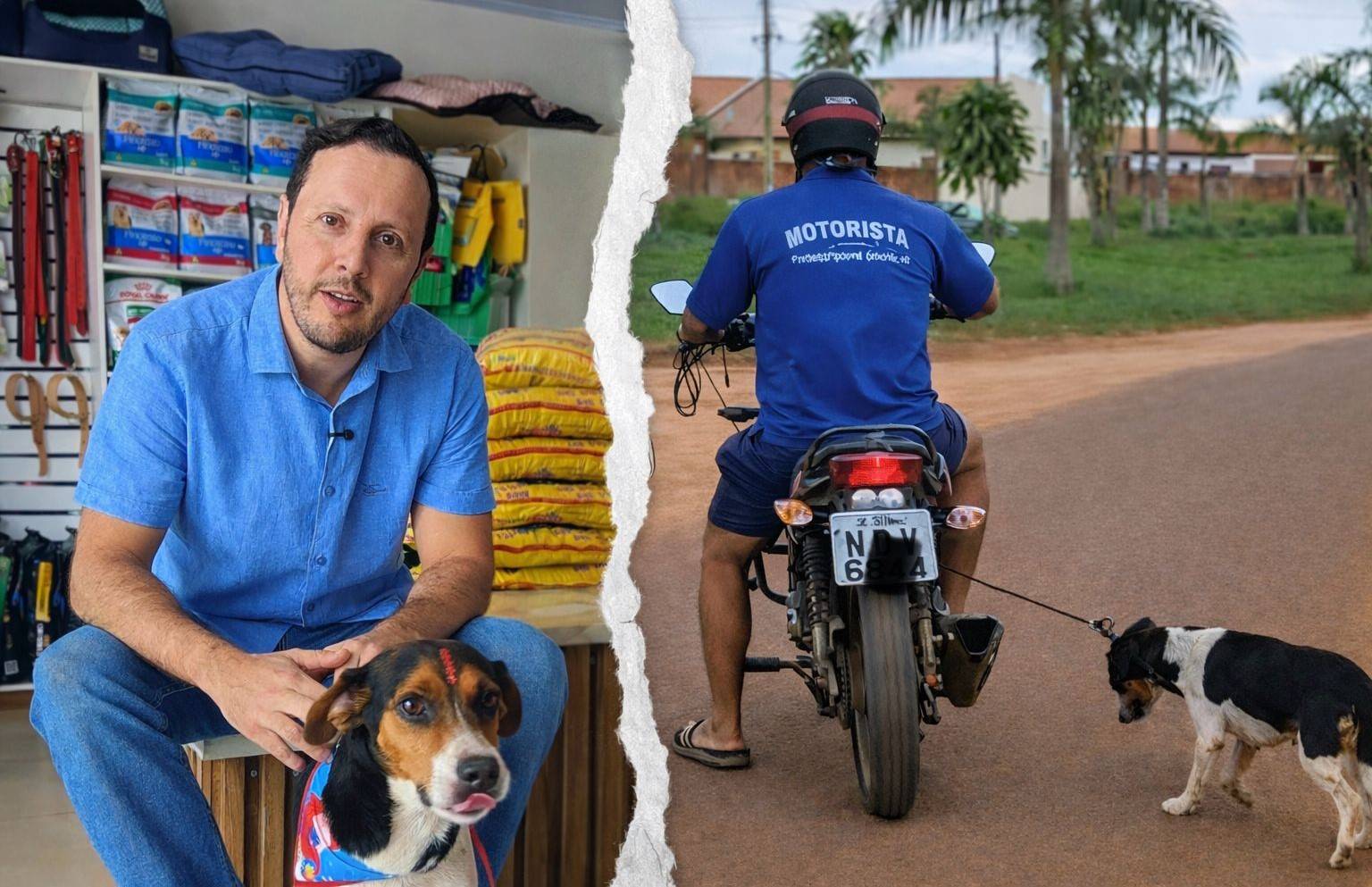 Vitória: da crueldade que chocou Rondônia à política inédita que garante até tratamento de câncer para animais em Vilhena; VEJA VÍDEO
