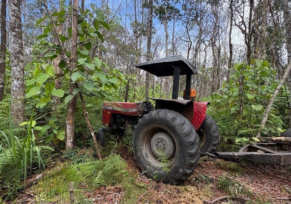 Em cidade vizinha, ação conjunta de Polícia Civil e Funai combate extração ilegal de madeiras em terra indígena