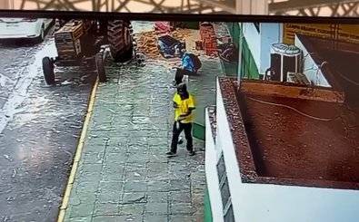 VÍDEO: autor de homicídio em cidade próxima a Vilhena é preso após depenar e comer pomba crua em MT