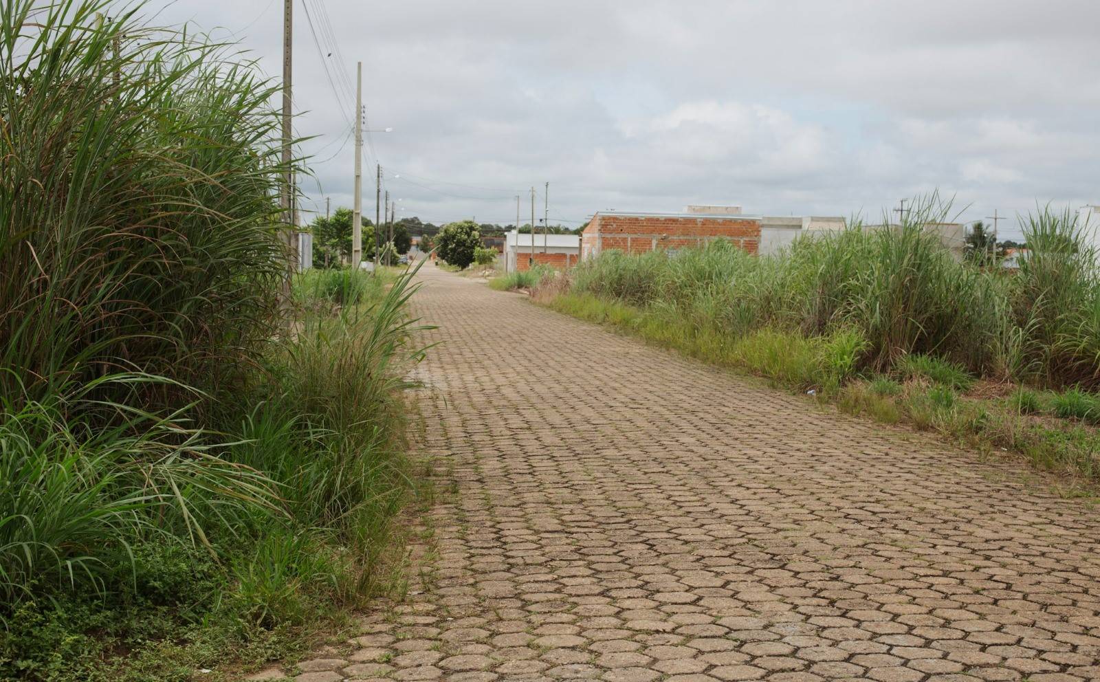 Prefeitura de Vilhena intensifica fiscalização de terrenos sujos e alerta para multas que podem ultrapassar R$ 2 mil