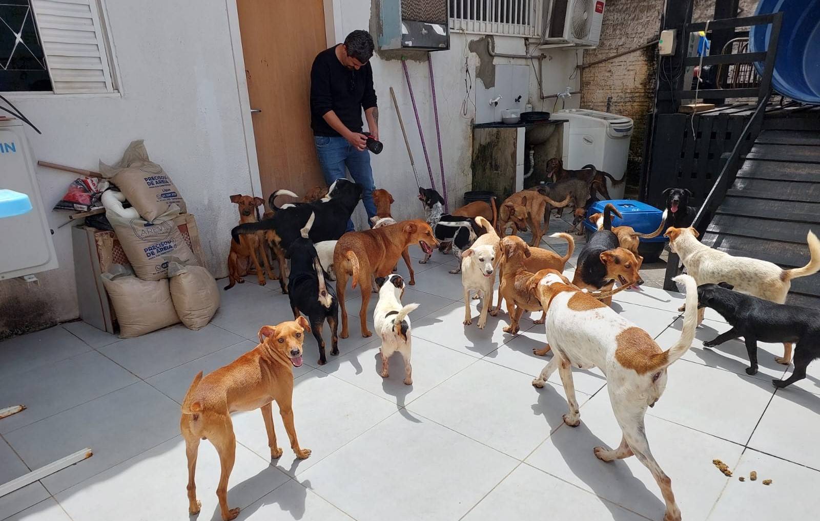 Após ordem judicial, Vigilância Sanitária recolhe 47 cães na residência da presidente de ONG, em Vilhena