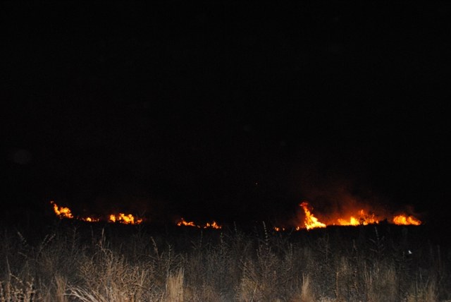 Incêndio próximo ao loteamento Moisés de Freitas mobiliza Bombeiros