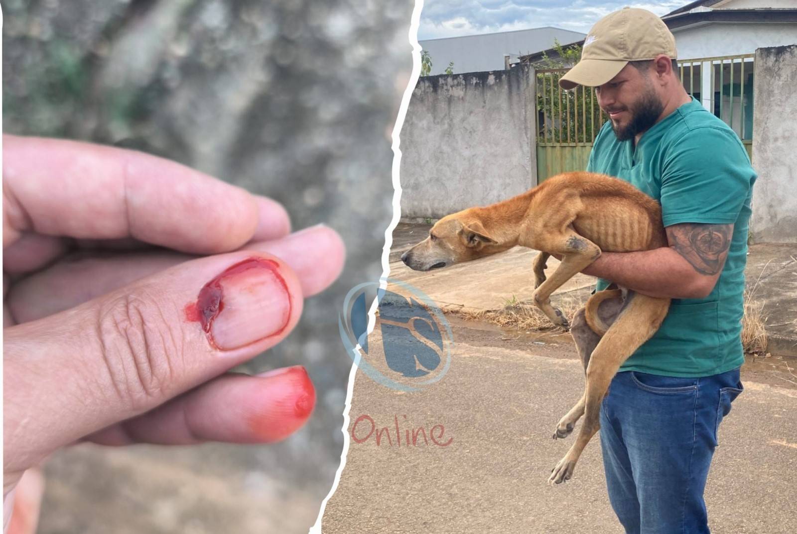 Secretário de Meio Ambiente é mordido pelo cão faminto que resgatou em Vilhena, após leitora do FOLHA DO SUL denunciar abandono