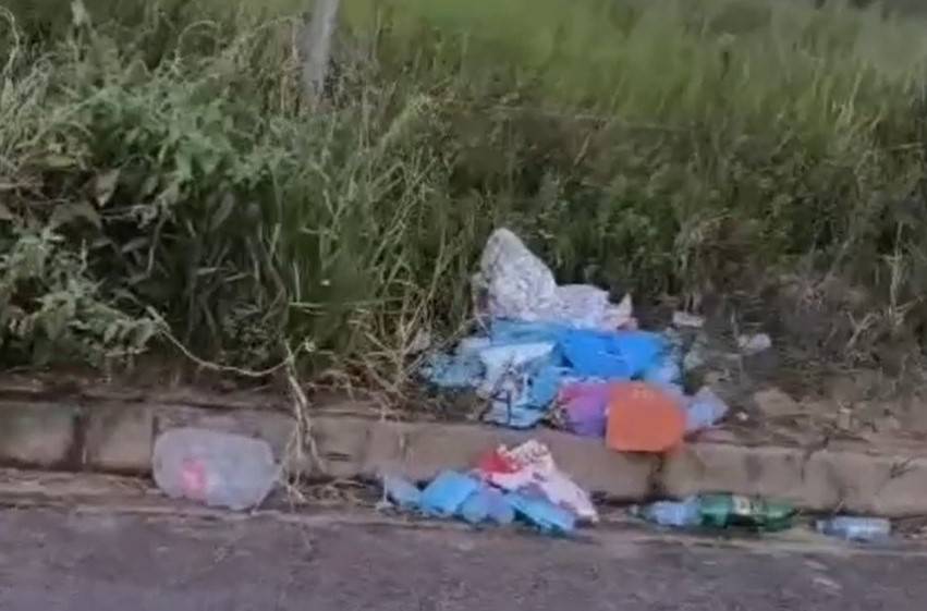 FOTOS E VÍDEO: moradores de bairro “nobre” denunciam abandono de terrenos e invasão de animais peçonhentos, em Vilhena