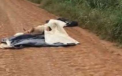 ASSISTA: vídeo mostra carcaça de cadela pit bull “desovada” em estrada vicinal próxima ao aeroporto de Vilhena