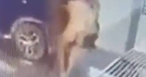 Viraliza na cidade de Colorado do Oeste as imagens de homem pelado dentro de garagem da casa que seria de influencer