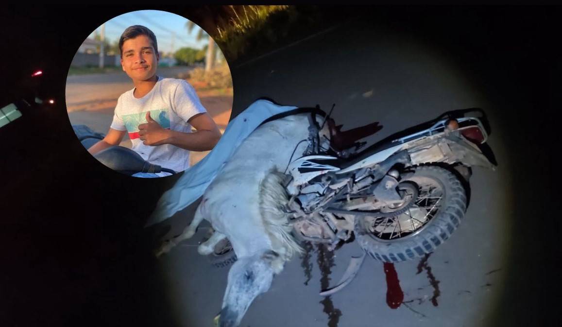 Dois meses após burro solto na pista matar motociclista, cavalo em rodovia provoca a morte de adolescente em Corumbiara