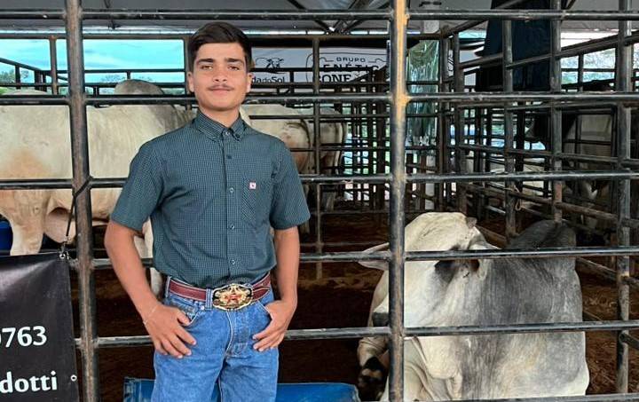 Pais do adolescente que morreu após bater com moto em cavalo em rodovia do Cone Sul vinham logo atrás e se desesperaram com a cena