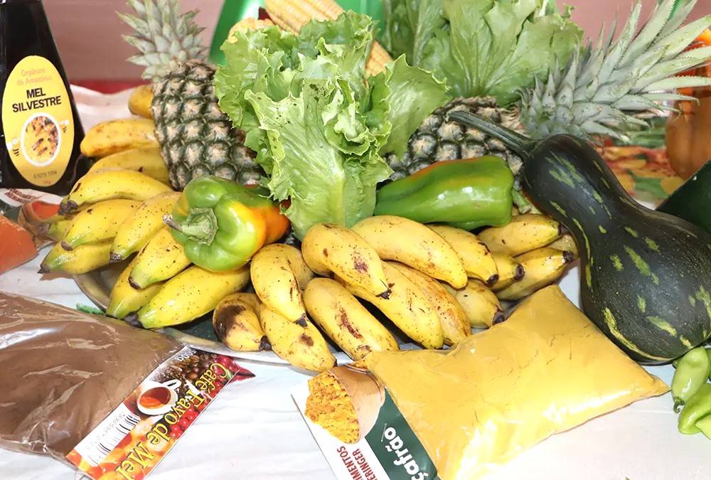 PAA começa entregas em Colorado do Oeste impulsionando produção rural e segurança alimentar no Cone Sul