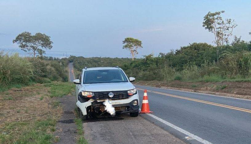 Vilhenense capota carro e morador de cidade mato-grossense atropela capivara em trecho da BR 364, em Rondônia; ambos sobreviveram