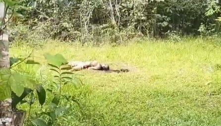 VÍDEOS: corpo da esposa de faccionado que foi preso após assassinato em cidade vizinha é encontrado “desovado” em área de mata