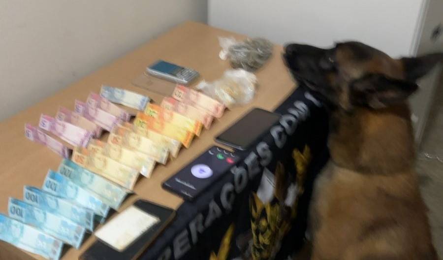 Um dia após tirar tornozeleira, garota de 22 anos é presa novamente em Colorado do Oeste; cão farejador encontrou drogas