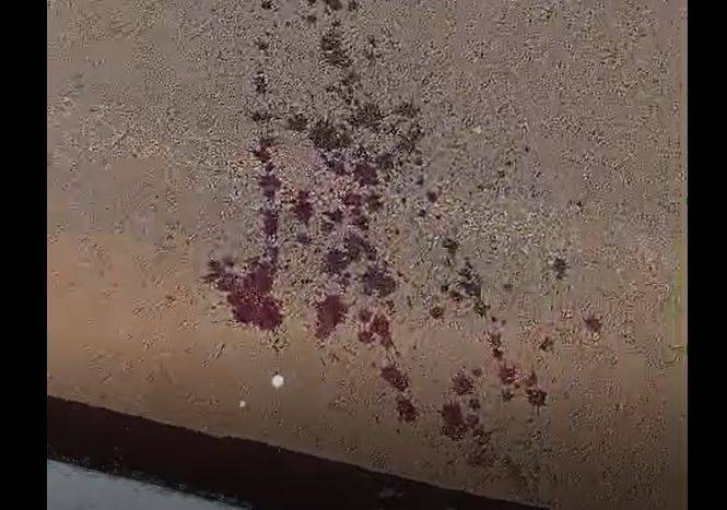 VEJA VÍDEO: após discussão, mulher é acusada de tentar matar a facadas um rapaz 21 anos mais novo, em Vilhena