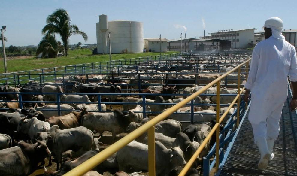 Júnior Friboi firma acordo para comprar mais um frigorífico: unidade fica em cidade da região central de Rondônia