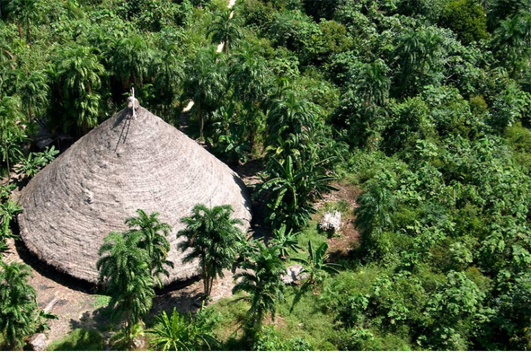 Após denúncia do Greenpeace, MPF pede condenação de banco por financiar atividades em Terra Indígena no Sul de RO