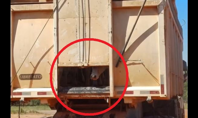 ASSISTA VÍDEO: gado que saiu de Cerejeiras em caminhão-caçamba é apreendido em posto da PRF em MT